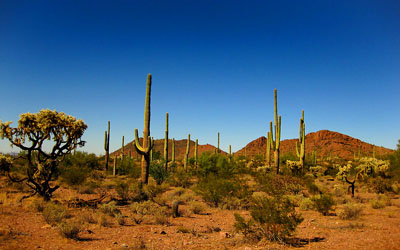 Tecnología desarrollada por mexicano ayuda a buscar agua en desierto