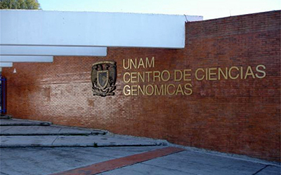 Ciencias Genómicas de la UNAM, una de las más avanzadas en el mundo