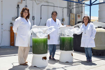 Alimentos con Spirulina para las escuelas