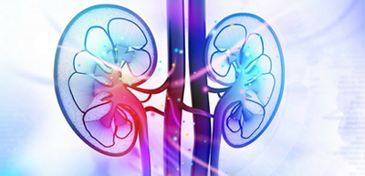 Científicos mexicanos desarrollan primer estudio genético de Acidosis Tubular Renal (ATR)