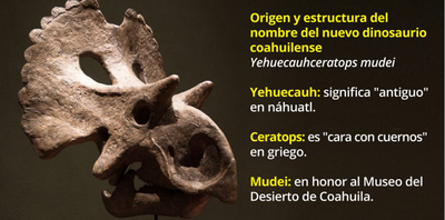 Paleontólogos mexicanos descubren nuevo dinosaurio en Coahuila