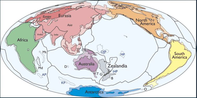 Zelandia, el continente que estaba perdido en la profundidad del Pacífico