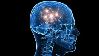 Estudian a la dopamina como neurotransmisor, clave en la enfermedad de Alzheimer