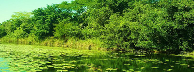 Diagnóstico social y ecológico de petenes en Campeche