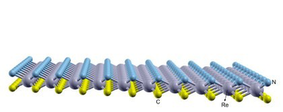 Diseñan en la UNAM nuevo nanomaterial, el Carbonitruro de Renio