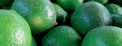 Superlimones mexicanos contra el dragón amarillo