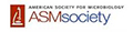 American Society for Microbiology (ASM)